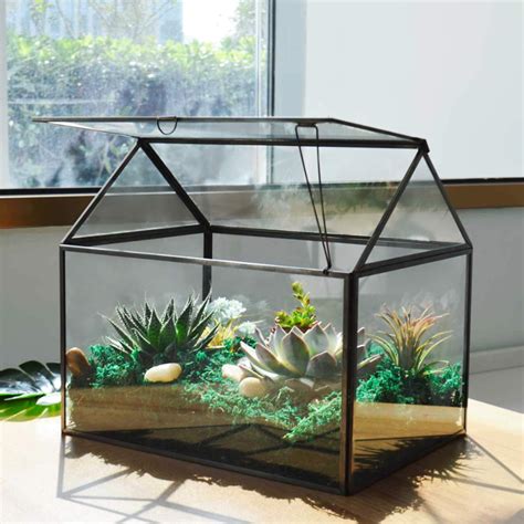 metal and glass house terrarium|where to buy glass terrariums.